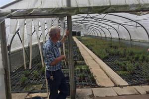 Kirton Farm Nurseries
